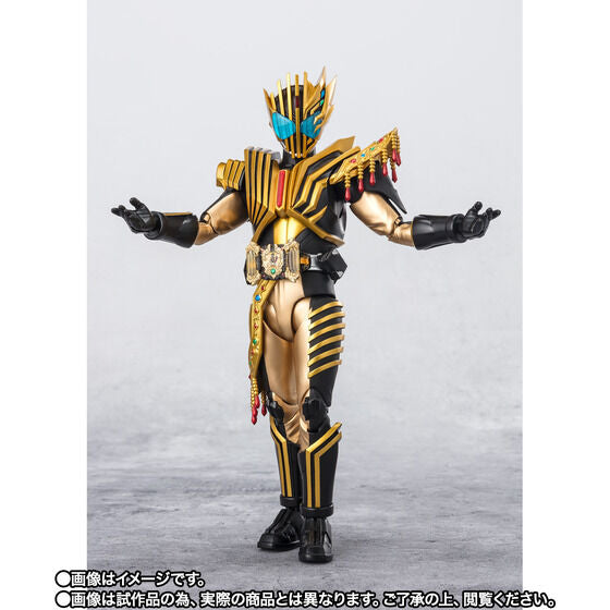 特撮 SHFiguarts Kamen Rider Legend Bandai S.H.Figuarts Kamen Rider Legend Japan version | PREMIUM