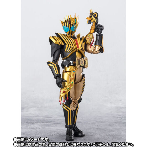 Bandai S.H.Figuarts Kamen Rider Legend Japan version | PREMIUM