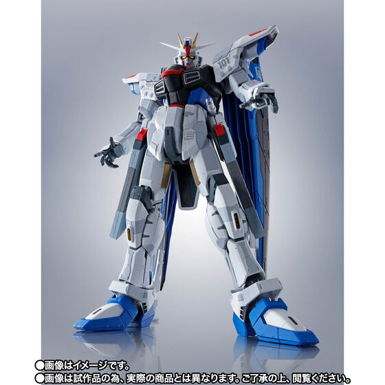 THE ROBOT SPIRITS SIDE MS ZGMF-X10A Freedom Gundam Ver.GCP Japan