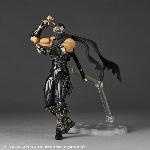 Amazing Yamaguchi Ryu Hayabusa Japan version