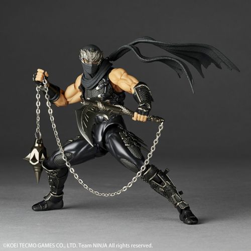 Amazing Yamaguchi Ryu Hayabusa Japan version