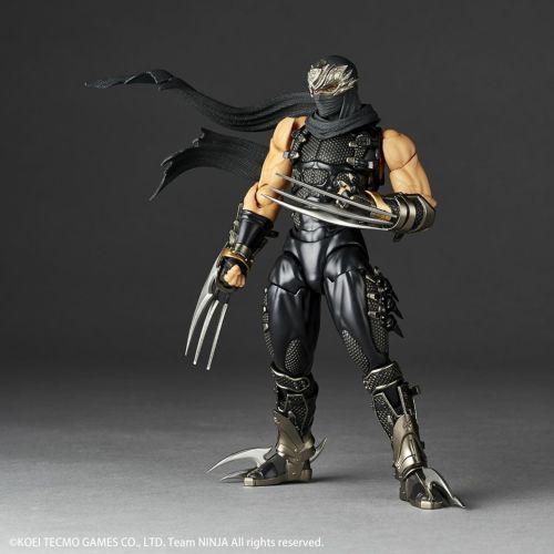 Amazing Yamaguchi Ryu Hayabusa Japan version