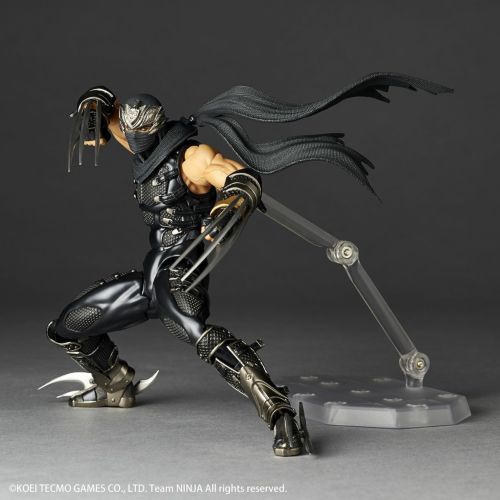 Amazing Yamaguchi Ryu Hayabusa Japan version