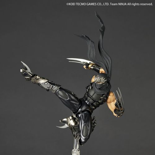 Amazing Yamaguchi Ryu Hayabusa Japan version