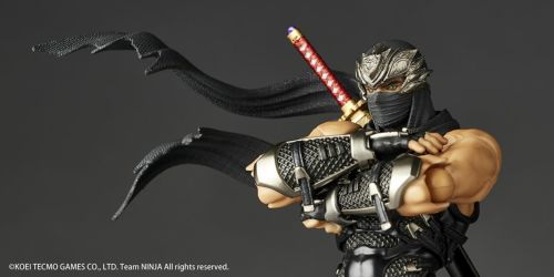 Amazing Yamaguchi Ryu Hayabusa Japan version