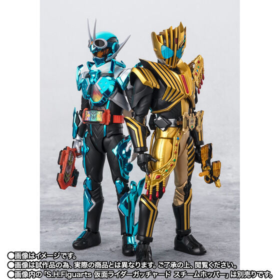 Bandai S.H.Figuarts Kamen Rider Legend Japan version