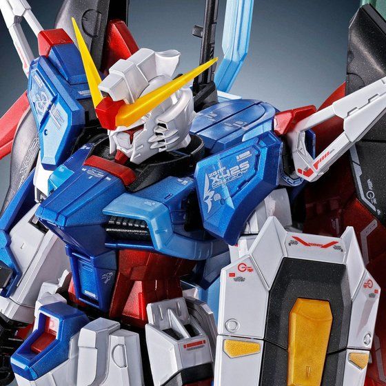 RG 1/144 Destiny Gundam (Titanium Finish) Japan version