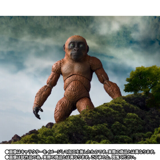 S.H.MonsterArts SUKO & MOTHRA (2024) FROM GODZILLA × KONG: THE NEW EMPIRE