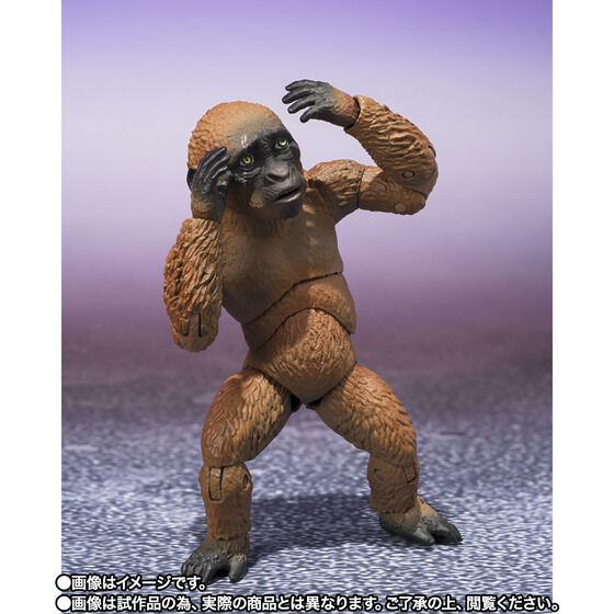 S.H.MonsterArts SUKO & MOTHRA (2024) FROM GODZILLA × KONG: THE NEW EMPIRE