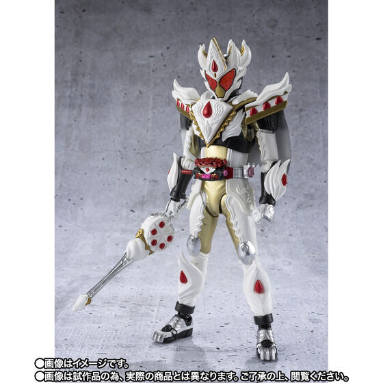 S.H.Figuarts Kamen Rider Gavv Caking Form Japan version