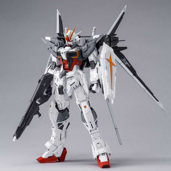 MG 1/100 Gundam Ex Impulse Japan version | PREMIUM LUNA PARK