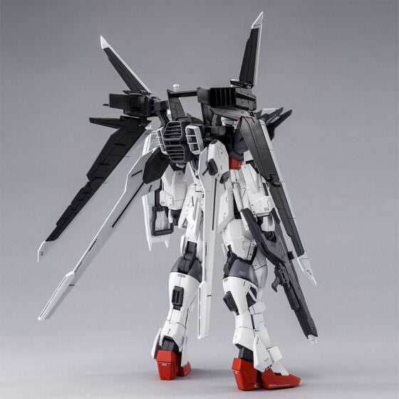 MG 1/100 Gundam Ex Impulse Japan version | PREMIUM LUNA PARK
