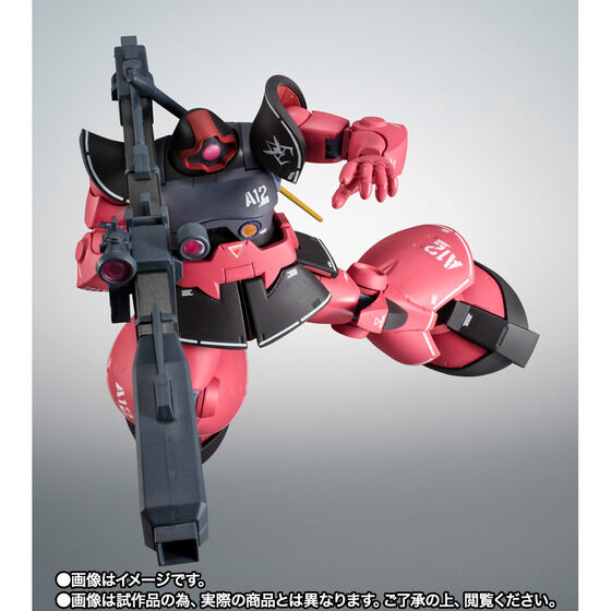 THE ROBOT SPIRITS ＜SIDE MS＞ MS-09RS Char's RICK DOM ver
