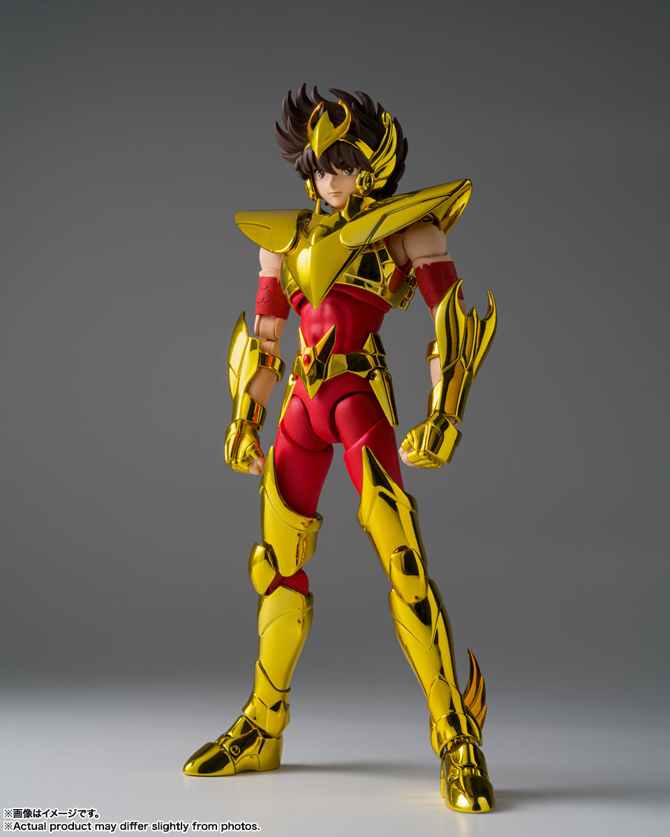 Saint Seiya | PREMIUM LUNA PARK