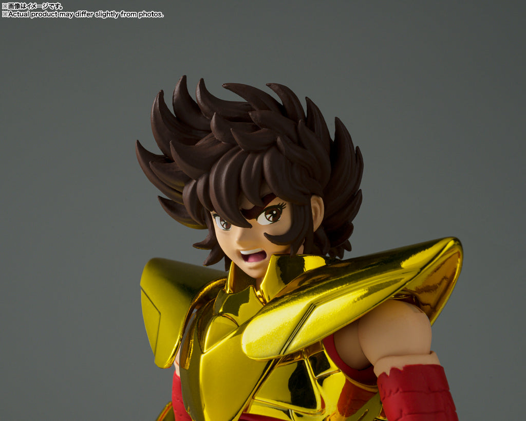 Saint Cloth Myth EX Pegasus Seiya (Final Bronze Cloth) GOLDEN LIMITED EDITION